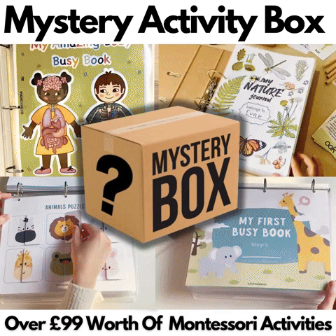 Mystery Activity Box (One Time Offer)