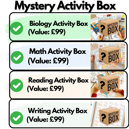 Mystery Activity Box (One Time Offer)